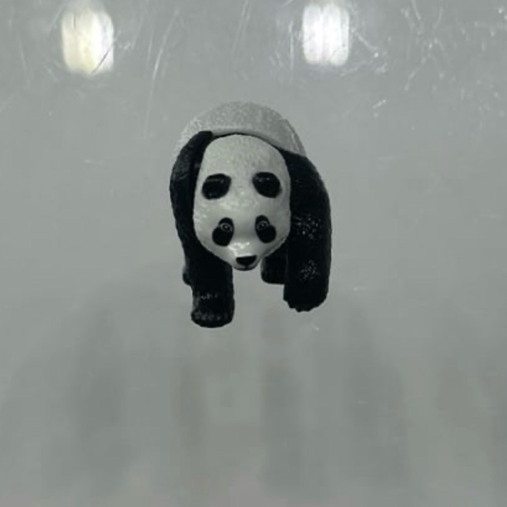 Tiny bear toy